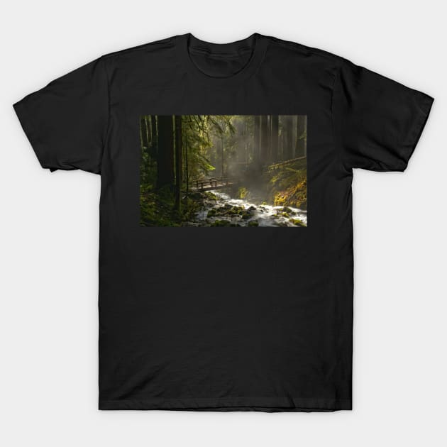 Bridge Through The Forest T-Shirt by AdamJewell